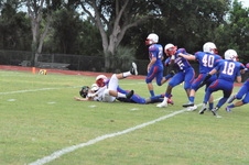 Enlarge photo 173