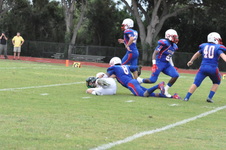 Enlarge photo 175