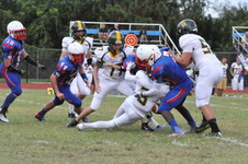 Enlarge photo 179