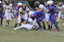 Enlarge photo 180