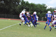Enlarge photo 186