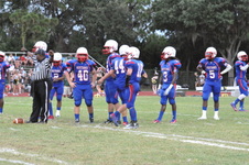 Enlarge photo 195