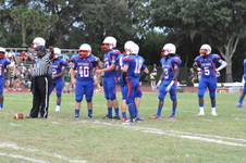 Enlarge photo 196