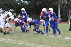 Enlarge photo 197