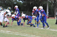 Enlarge photo 198
