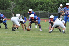Enlarge photo 203