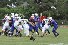 Enlarge photo 209