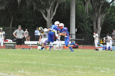 Enlarge photo 213