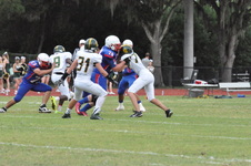 Enlarge photo 229