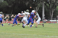 Enlarge photo 230