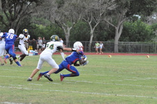 Enlarge photo 231