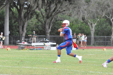 Enlarge photo 239