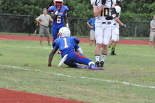 Enlarge photo 246