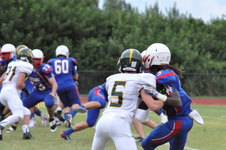 Enlarge photo 259