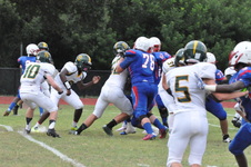 Enlarge photo 261