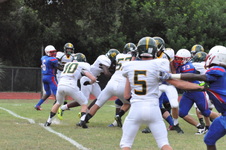 Enlarge photo 262