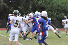 Enlarge photo 264