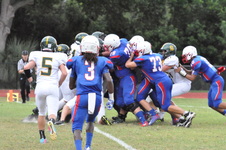 Enlarge photo 269