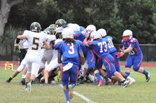 Enlarge photo 270