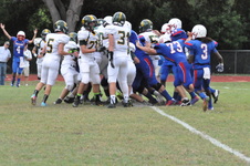 Enlarge photo 273