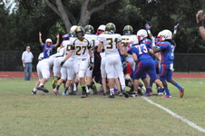 Enlarge photo 274