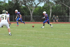 Enlarge photo 295