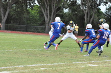 Enlarge photo 298