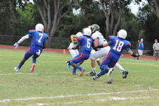 Enlarge photo 299