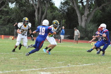 Enlarge photo 301