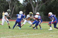 Enlarge photo 302