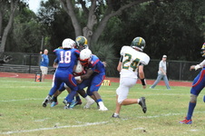 Enlarge photo 303