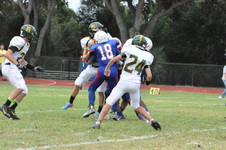 Enlarge photo 304
