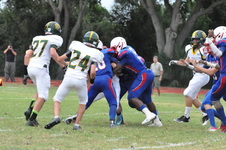 Enlarge photo 305