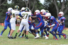Enlarge photo 306