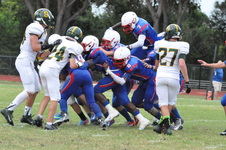 Enlarge photo 307