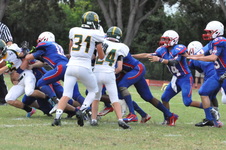 Enlarge photo 308