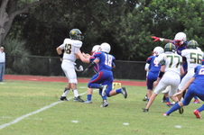 Enlarge photo 315