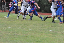 Enlarge photo 331