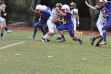 Enlarge photo 332