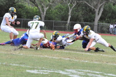 Enlarge photo 335