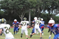 Enlarge photo 340