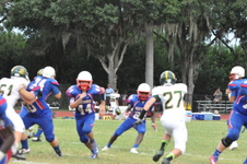 Enlarge photo 342