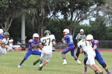 Enlarge photo 343