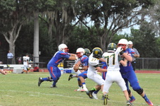 Enlarge photo 345