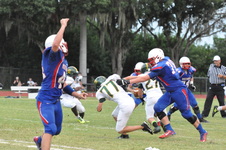 Enlarge photo 347