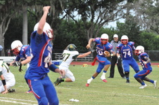 Enlarge photo 348
