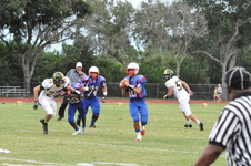 Enlarge photo 349
