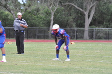 Enlarge photo 358