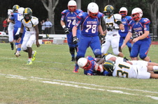Enlarge photo 364