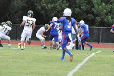 Enlarge photo 378